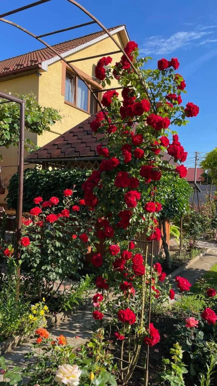 Квітковий Двір Golubinoye Exteriör bild