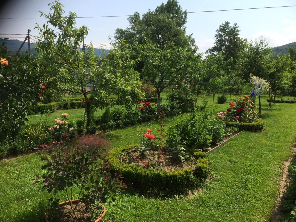 Квітковий Двір Golubinoye Exteriör bild