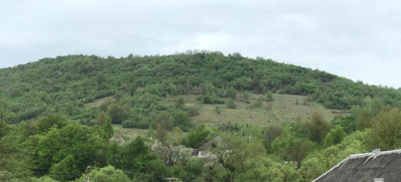 Квітковий Двір Golubinoye Exteriör bild